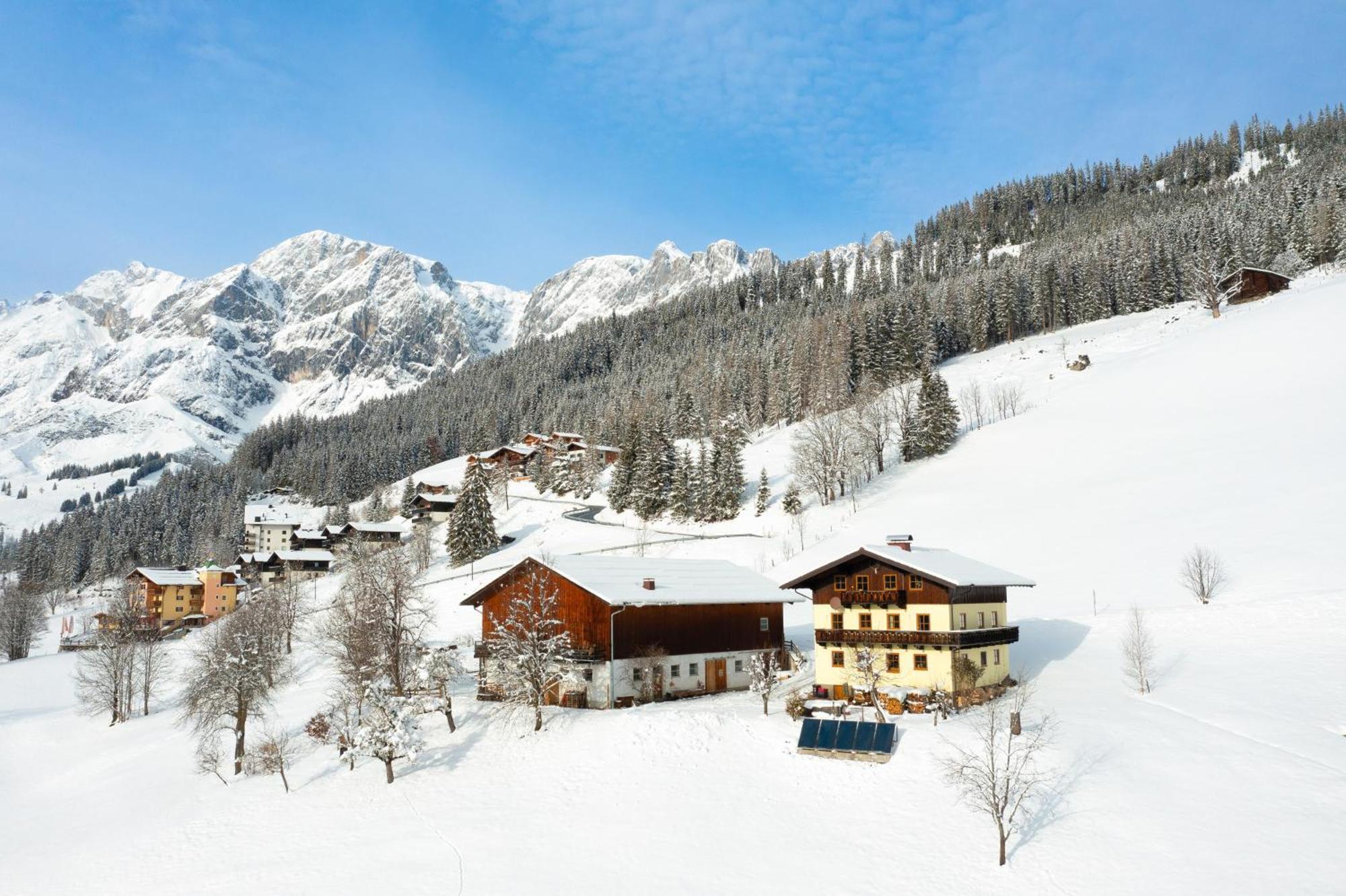 Molteraugut Daire Mühlbach am Hochkönig Dış mekan fotoğraf